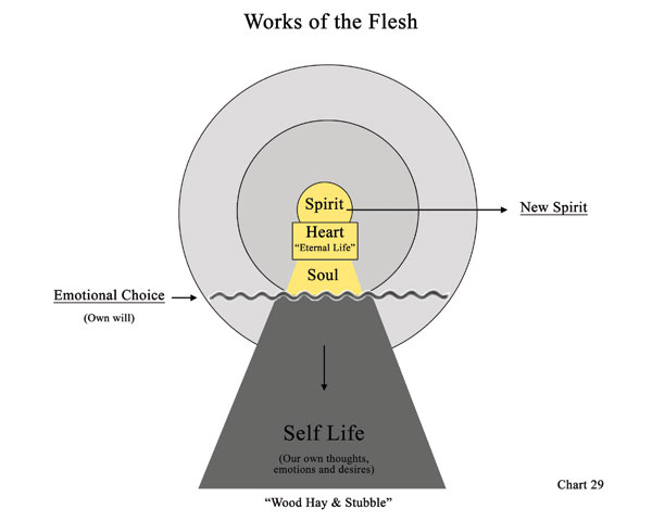 Chart 29: Works of the Flesh