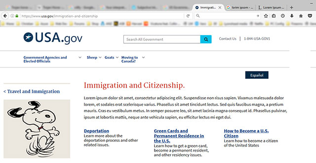 Fake screen grab of the USA.gov website.