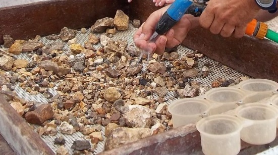 Volunteer sifting debris to find artifacts.