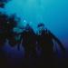 In Search of The Lost Shipwreck of Paul
